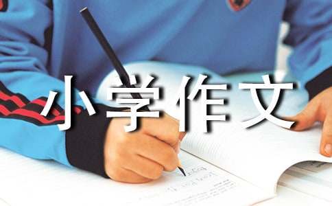 青少年篮球爱好者综合训练方案_0